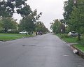 101_1927_edited-1