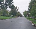 101_1929_edited-1