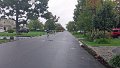 101_1930_edited-1