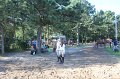 IMG_5010