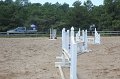 IMG_5324