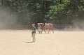 IMG_5329
