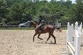 IMG_5351