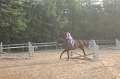 IMG_5489