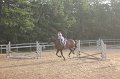 IMG_5490