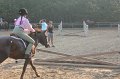 IMG_5501