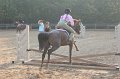 IMG_5503