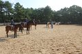 IMG_5547