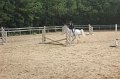 IMG_5566