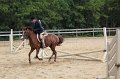 IMG_5607