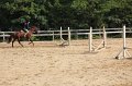 IMG_5613