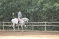 IMG_5656