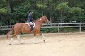 IMG_5676