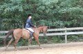 IMG_5678