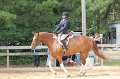 IMG_5788
