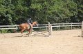 IMG_5812