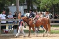 IMG_5973