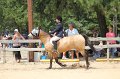 IMG_6104