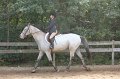 IMG_6154