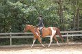 IMG_6158