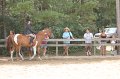 IMG_6160