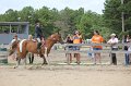 IMG_6164