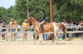 IMG_6219