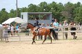 IMG_6224