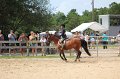 IMG_6227