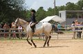 IMG_6229