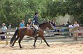 IMG_6328