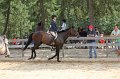 IMG_6329