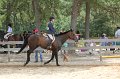 IMG_6331