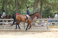 IMG_6335