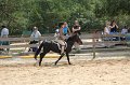 IMG_6342