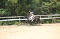 IMG_6355
