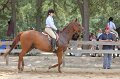 IMG_6390