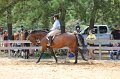 IMG_6396