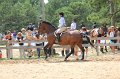 IMG_6402