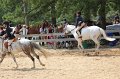 IMG_6409