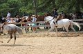 IMG_6410
