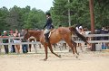 IMG_6453