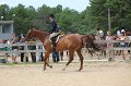 IMG_6454
