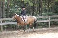 IMG_6578