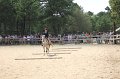 IMG_6597