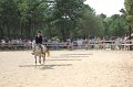 IMG_6602