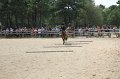 IMG_6614