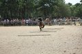 IMG_6616