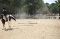 IMG_6633
