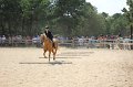 IMG_6640